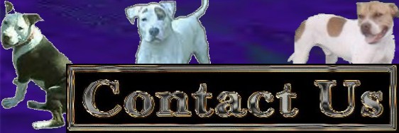 contactus2007.jpg