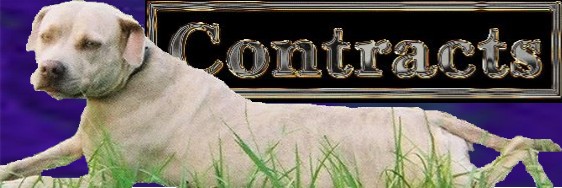 contracts2007.jpg