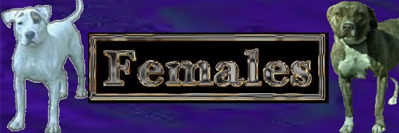 femaleslogo.jpg