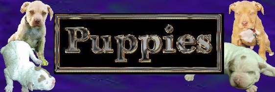 puppieslogo2007.jpg