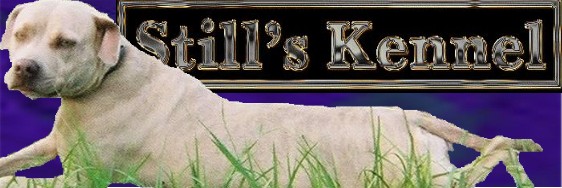 stillsknl_fntpagelogo.jpg